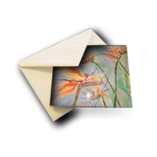 Abstract Collection Note Cards
