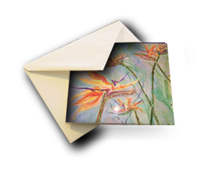 Abstract Collection Note Cards
